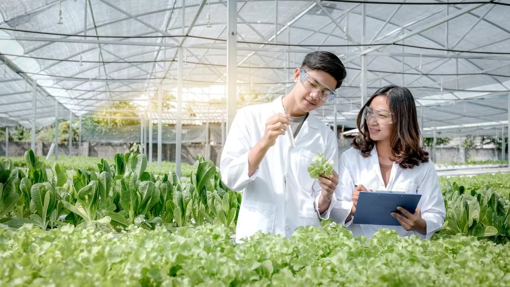Wissenschaftler bei der Suche nach geeigneten Pflanzen